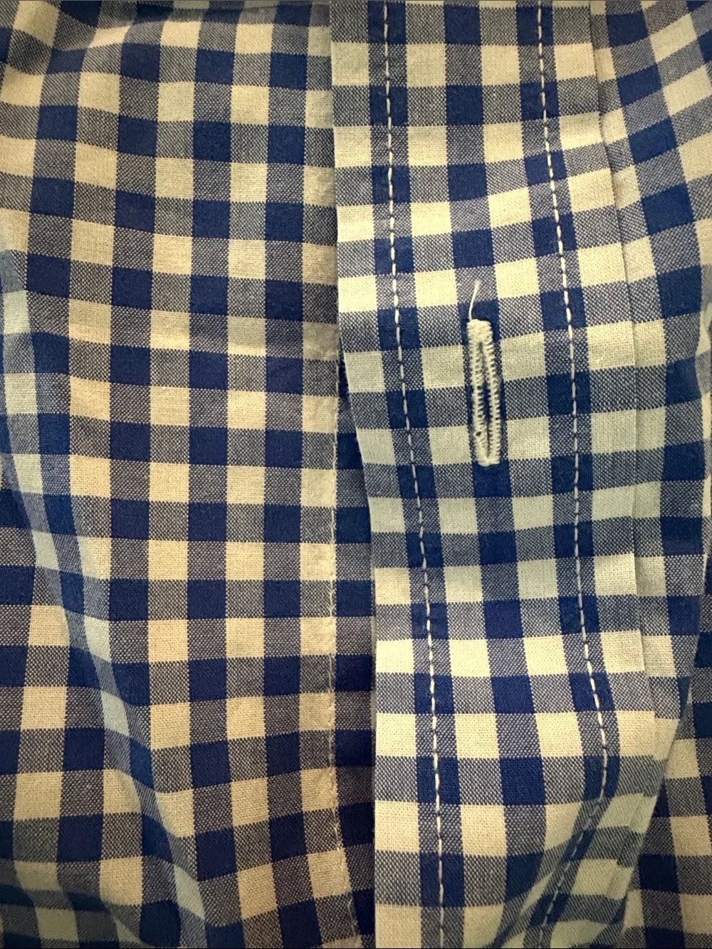 Ralph Lauren Blue & White Gingham Button-Down Shirt